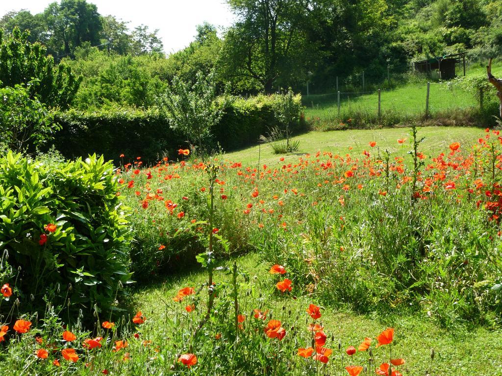 Maison D'Hotes Les Coquelicots Giverny Exterior photo